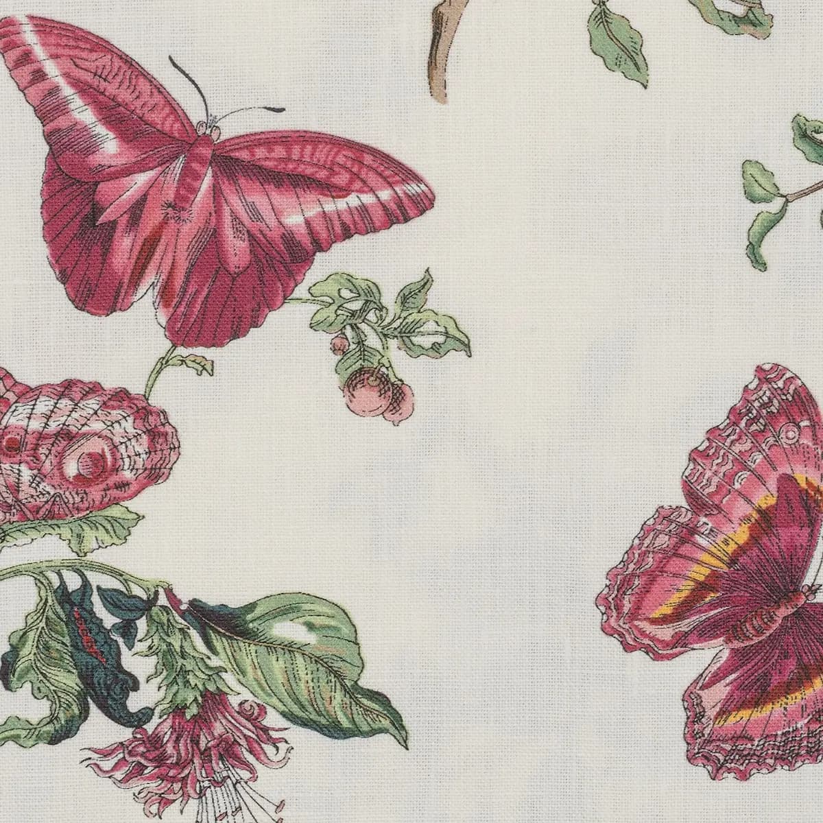 Baudin Butterfly Cocktail Napkins_ RUBY