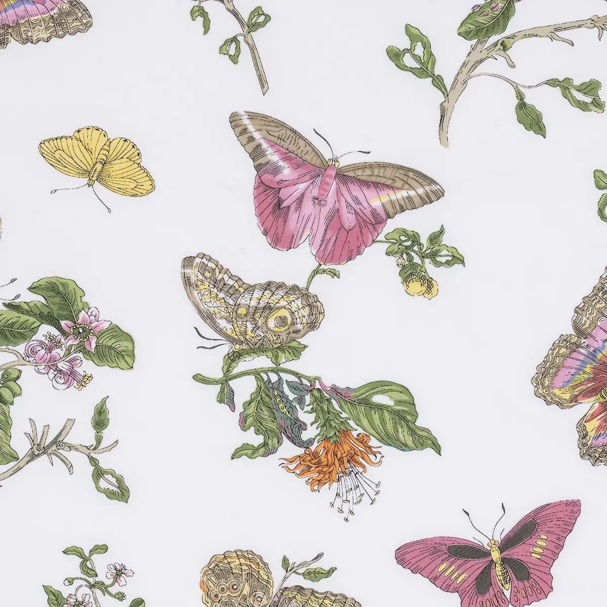 Baudin Butterfly Duvet Cover_ PINK