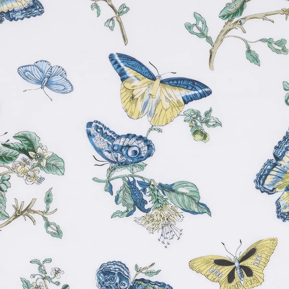 Baudin Butterfly Pillowcase Pair_ PRUSSIAN BLUE