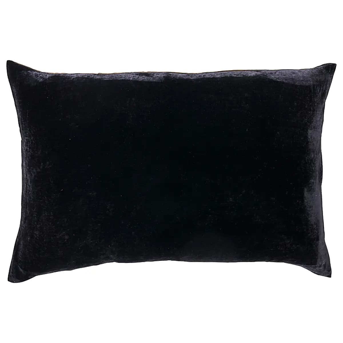 Gilded Serpiente Velvet Pillow_ BLACK