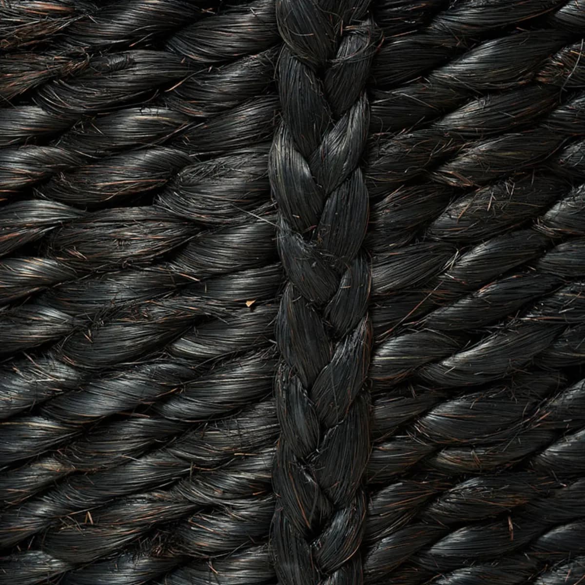 Lubid Abaca Basket_ BLACK