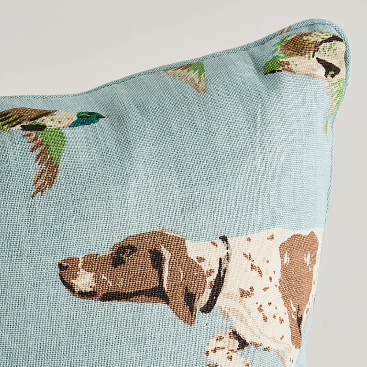 Pointers Pillow_ SKY