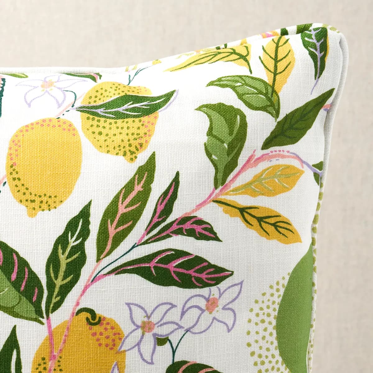 Citrus Garden I/O Pillow_ GARDEN