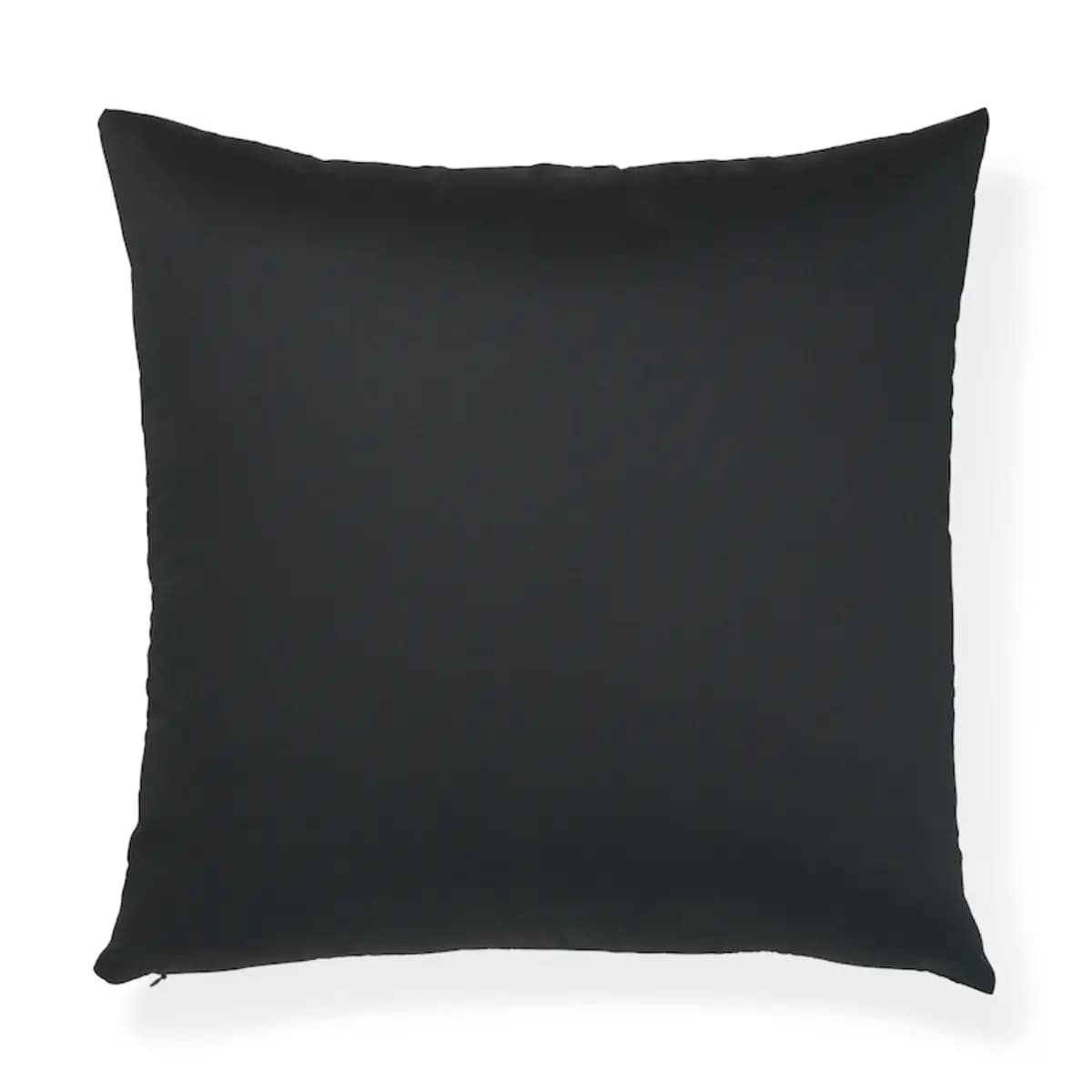 Fernarium Pillow_ GREEN & BLACK