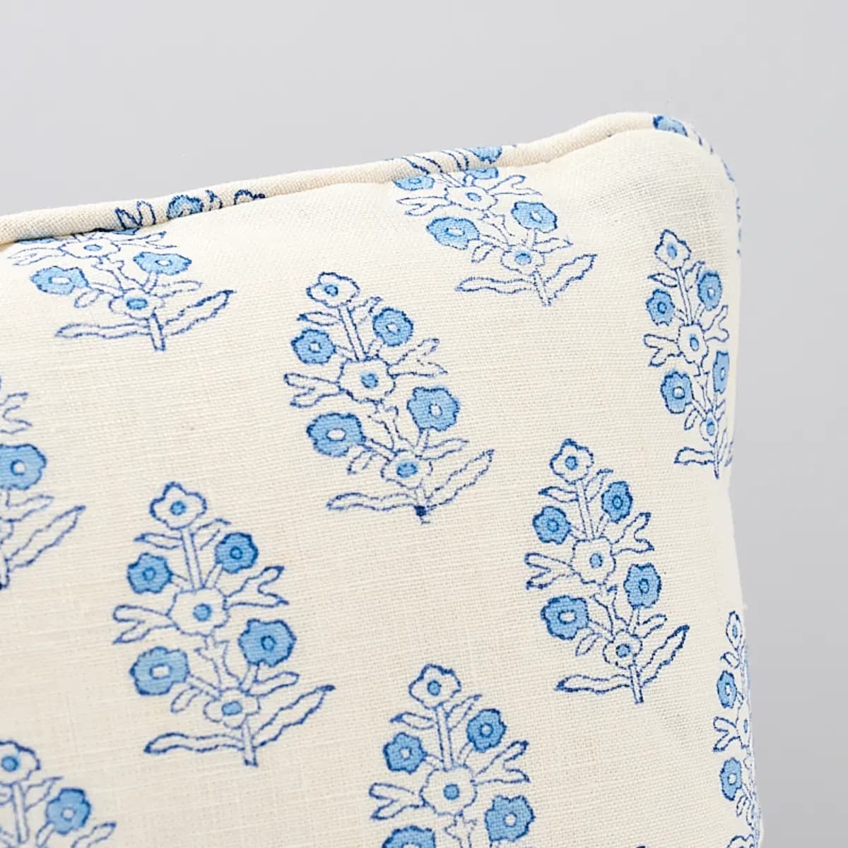 Aditi Hand Blocked Print Pillow_ BLUE & WHITE