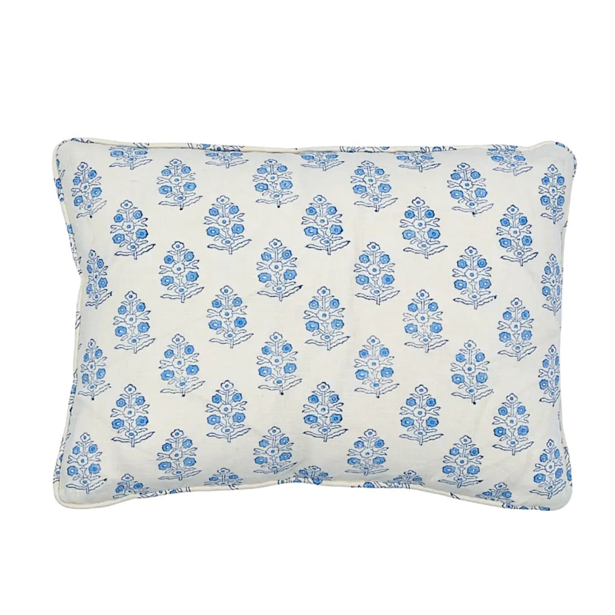 Aditi Hand Blocked Print Pillow_ BLUE & WHITE