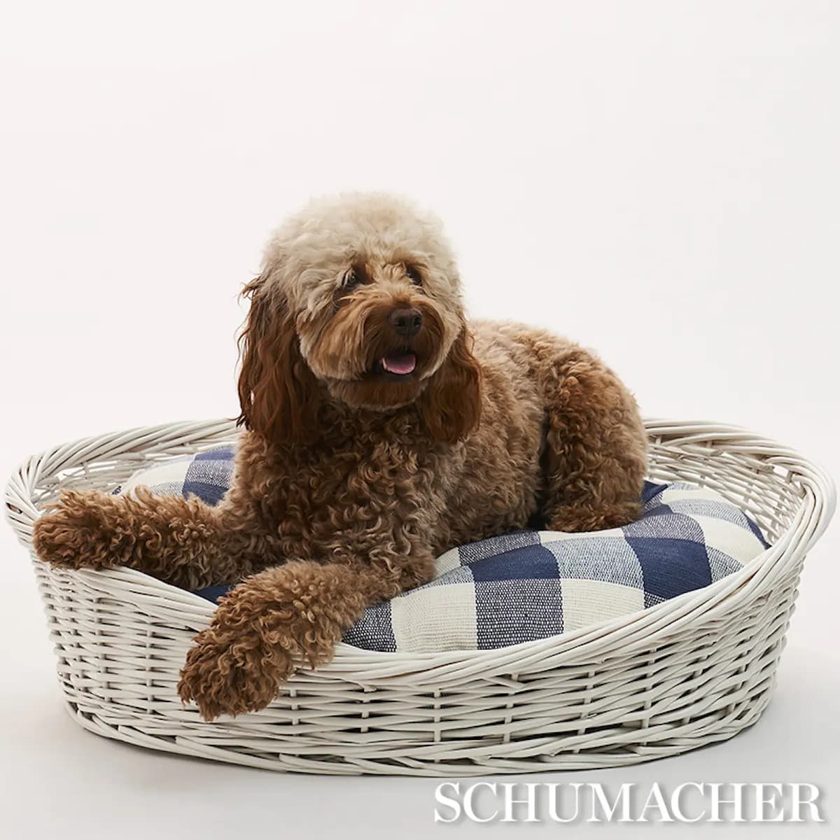 Barnes Check Dog Bed_ BLUE