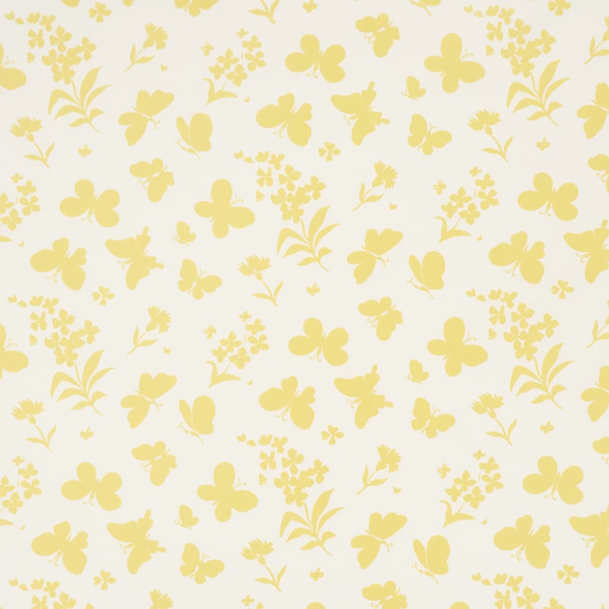 Butterflies_ BUTTERCUP