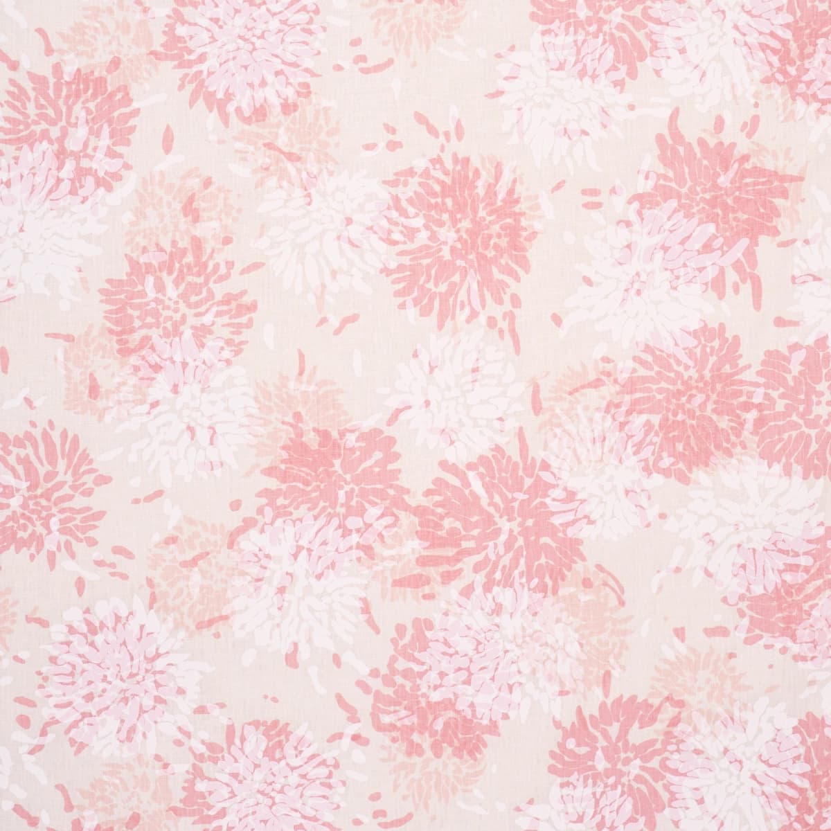 Chrysanthemum By Tillett_ PINKY