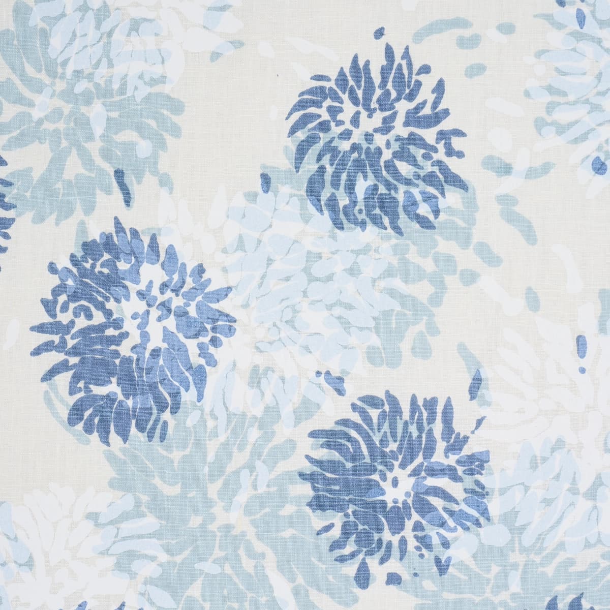 Chrysanthemum By Tillett_ BLUES