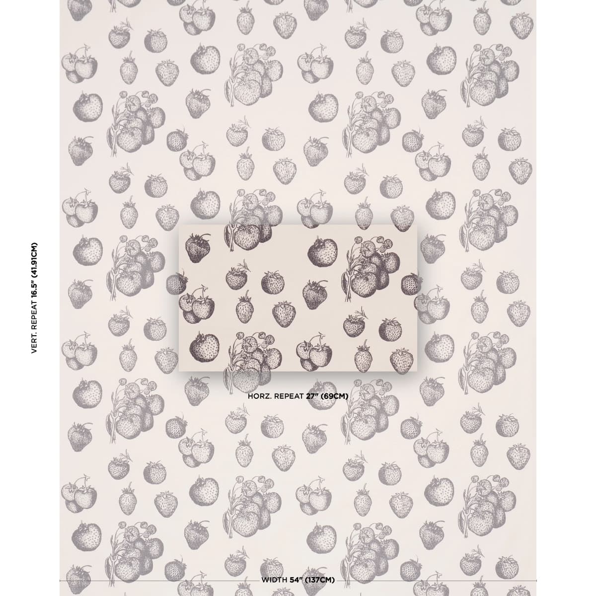 STRAWBERRY FIELDS_ GRAPHITE