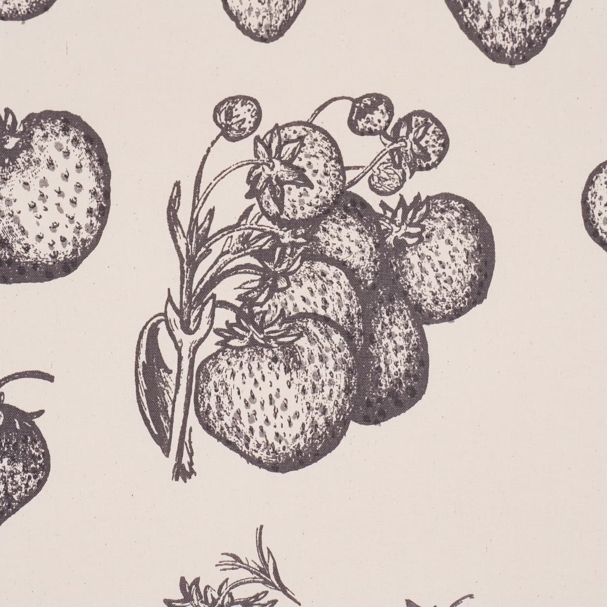 STRAWBERRY FIELDS_ GRAPHITE