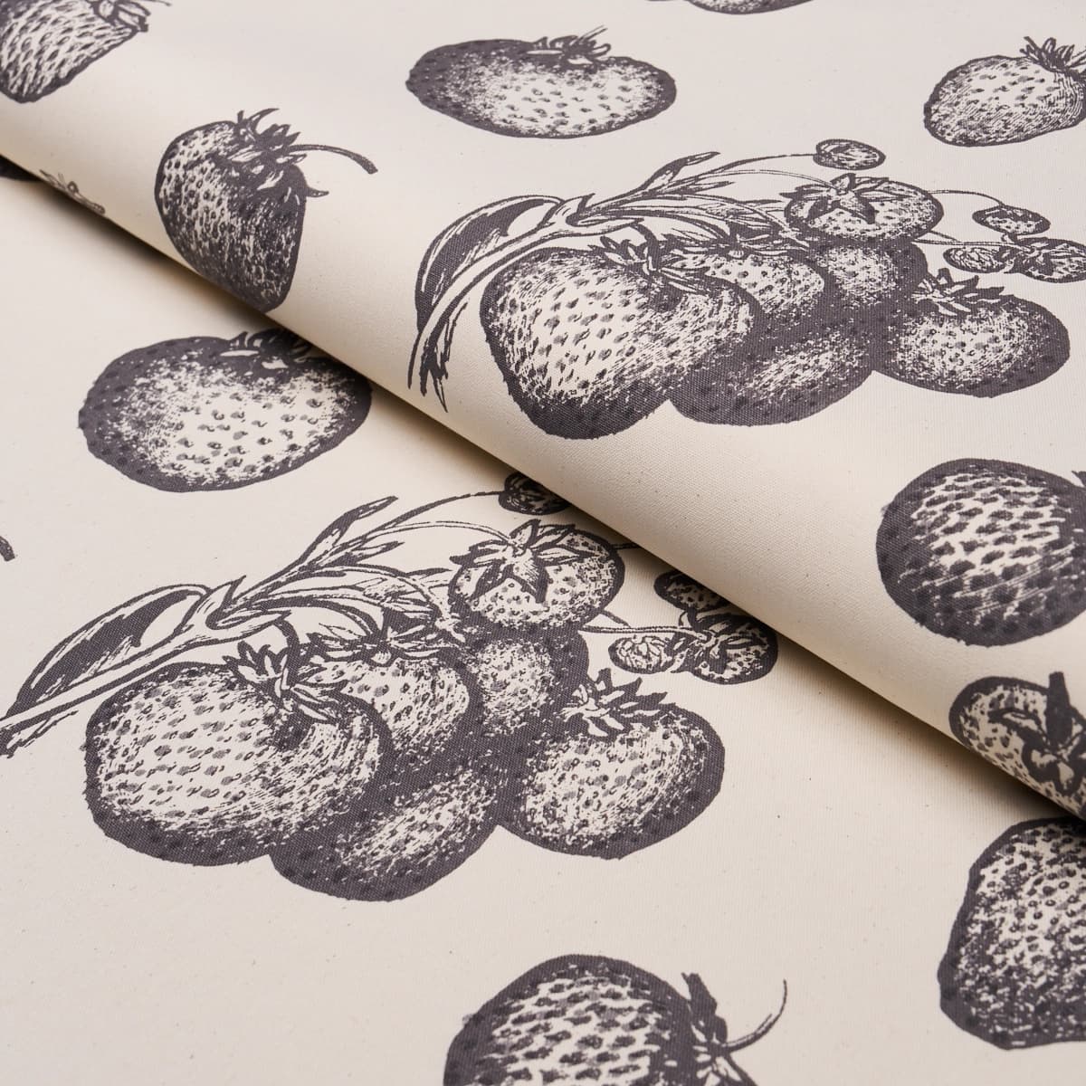 STRAWBERRY FIELDS_ GRAPHITE