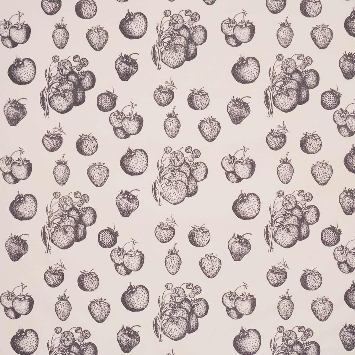 STRAWBERRY FIELDS_ GRAPHITE