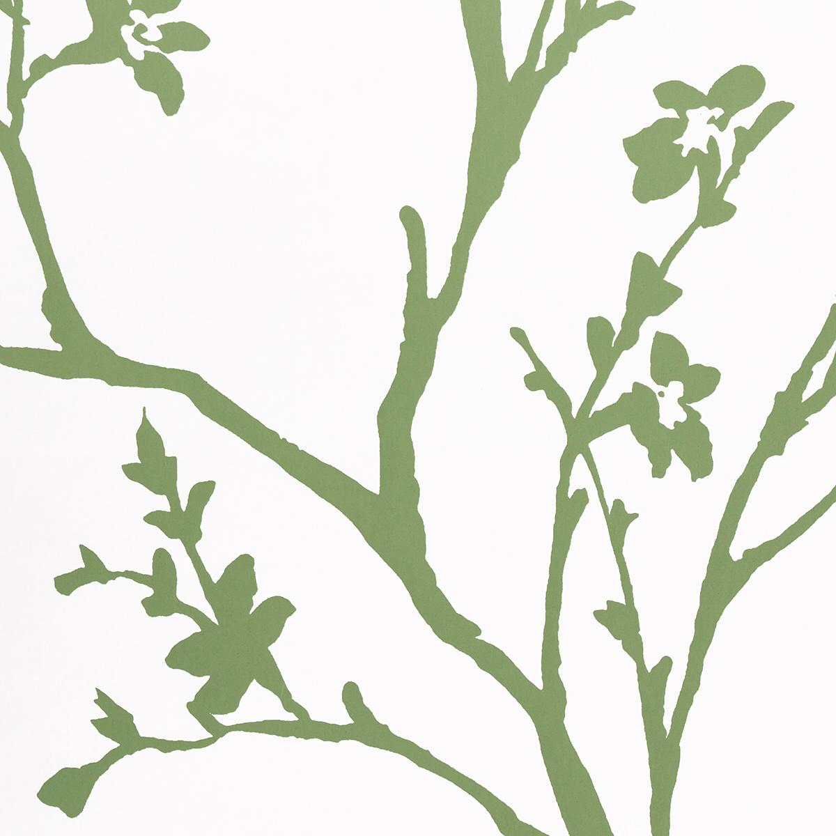 Twiggy Green Wallpapers Schumacher