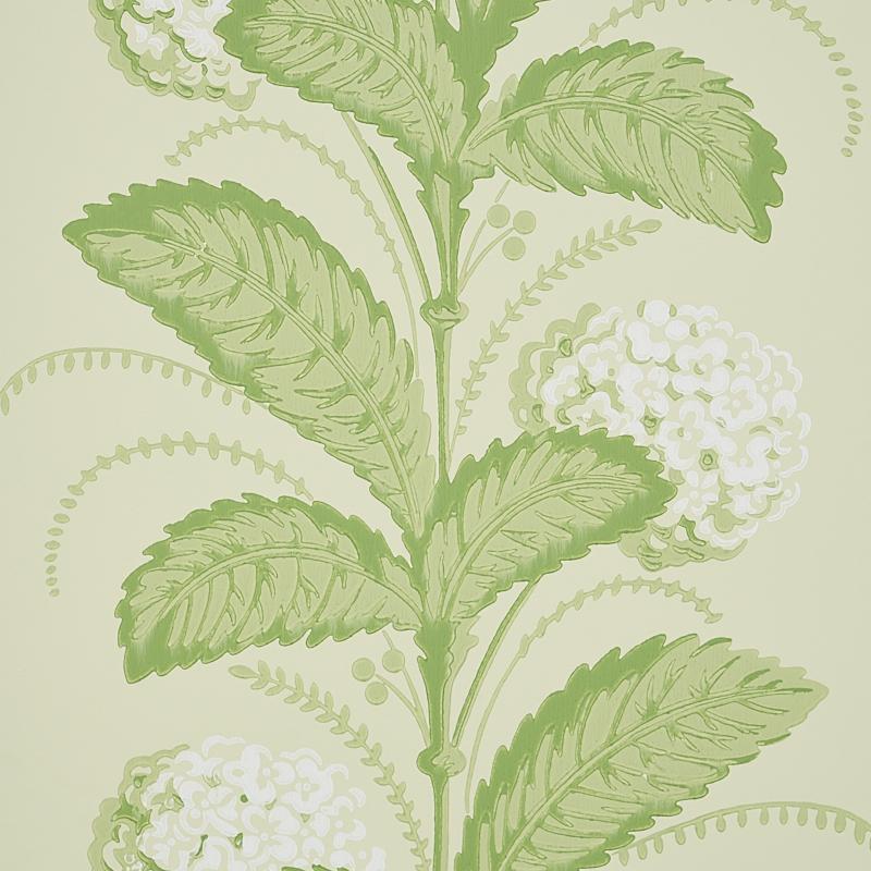 Hydrangea Drape - Green Wallpapers | Schumacher