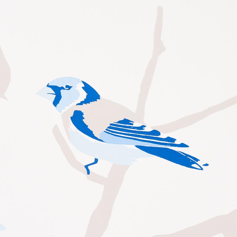 A-Twitter - Blues Wallpapers | Schumacher