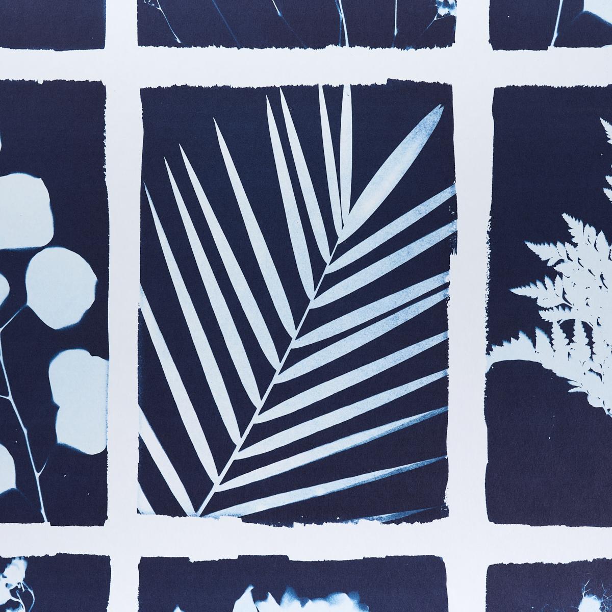 CYANOTYPE PANEL_INDIGO