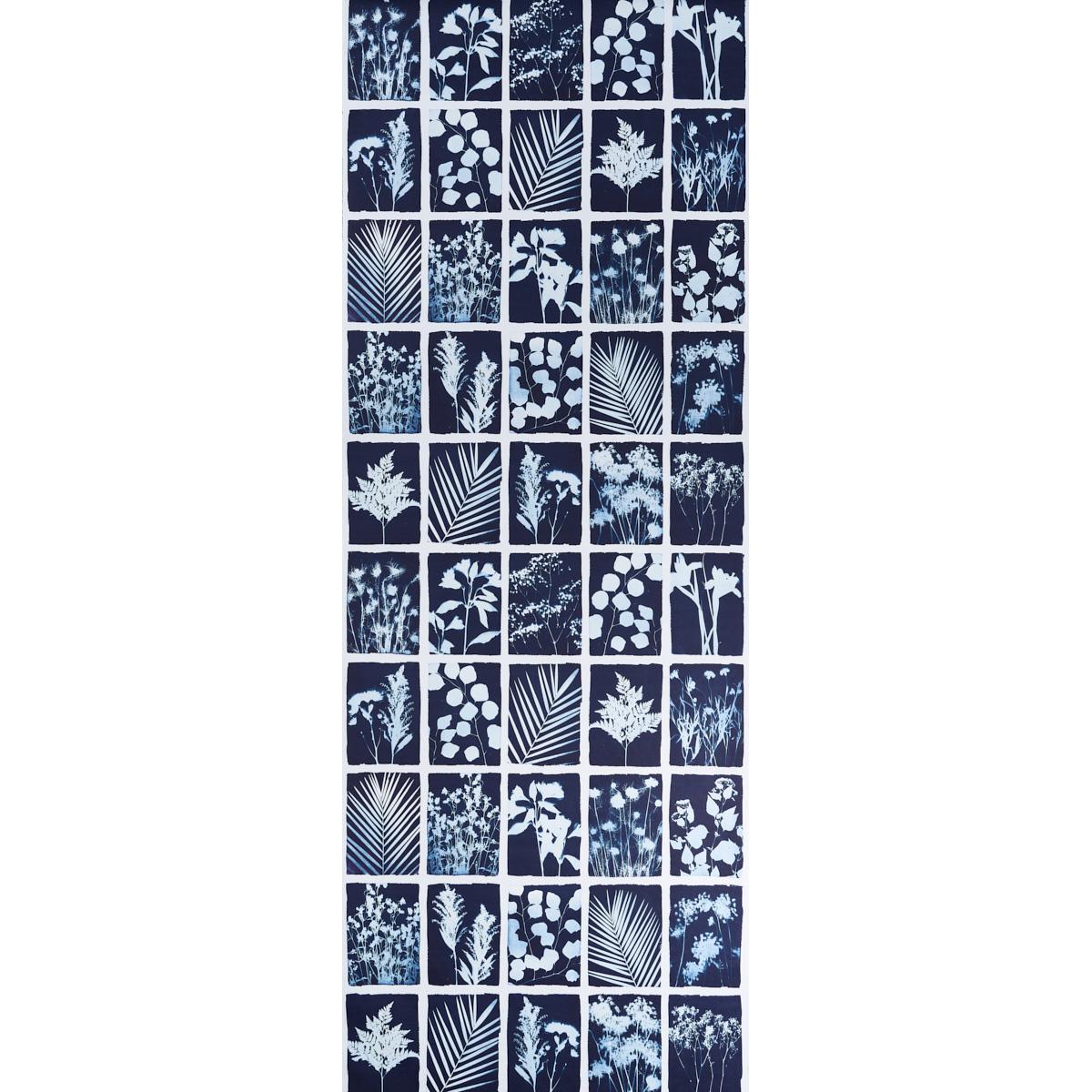 CYANOTYPE PANEL_INDIGO