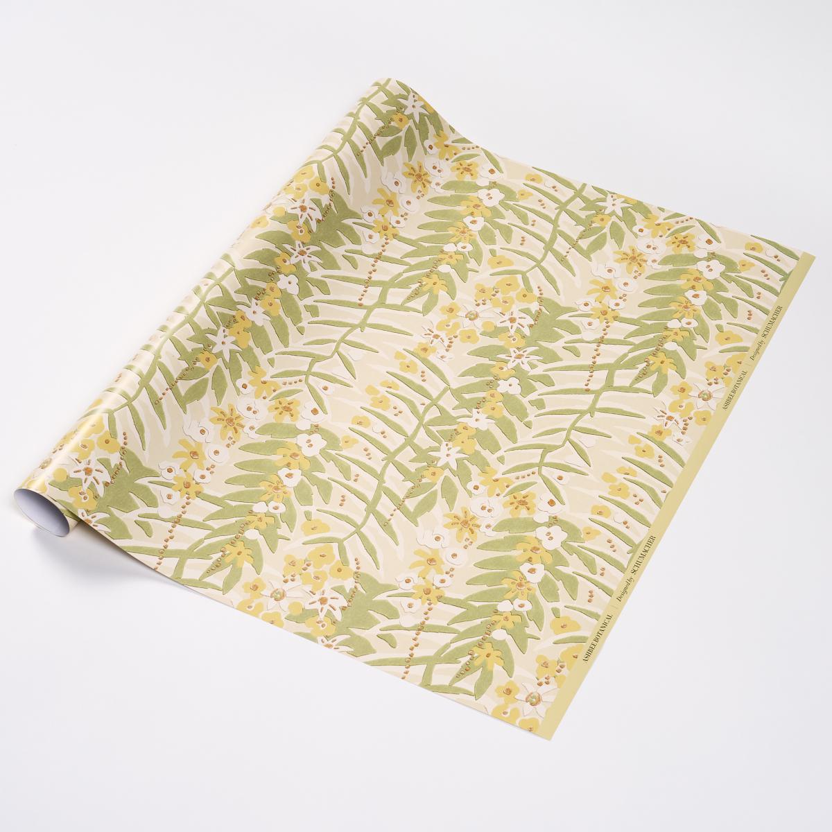 Ashbee Botanical Wrapping Paper_CITRON