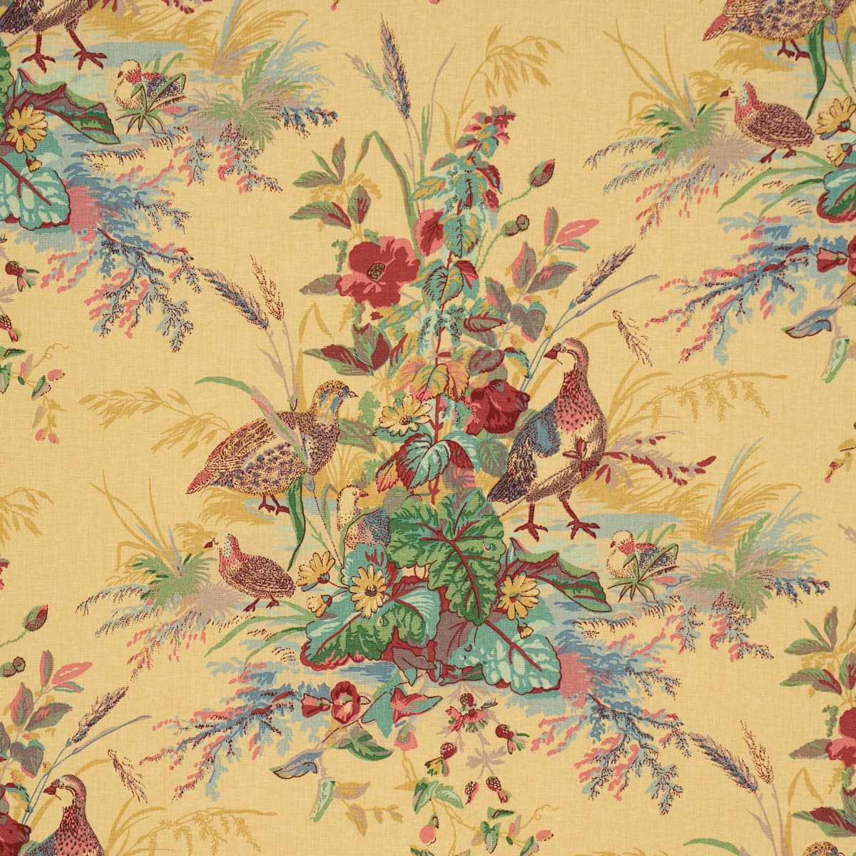 QUAIL MEADOW - SPRING