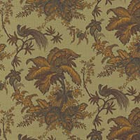 COCONUT GROVE - SPRUCE