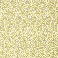 SEA CORAL - CHARTREUSE