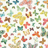 BUTTERFLY - MULTI