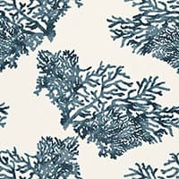 GREAT BARRIER REEF - INDIGO