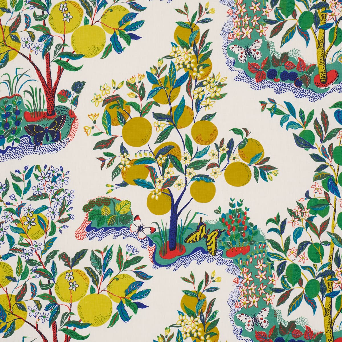 CITRUS GARDEN - PRIMARY