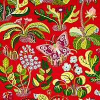 EXOTIC BUTTERFLY - RED