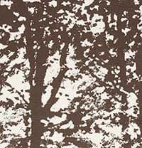 WOODLAND - BARK