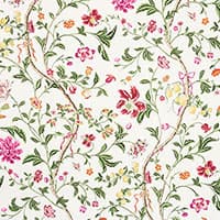 CITRONIER - FUCHSIA