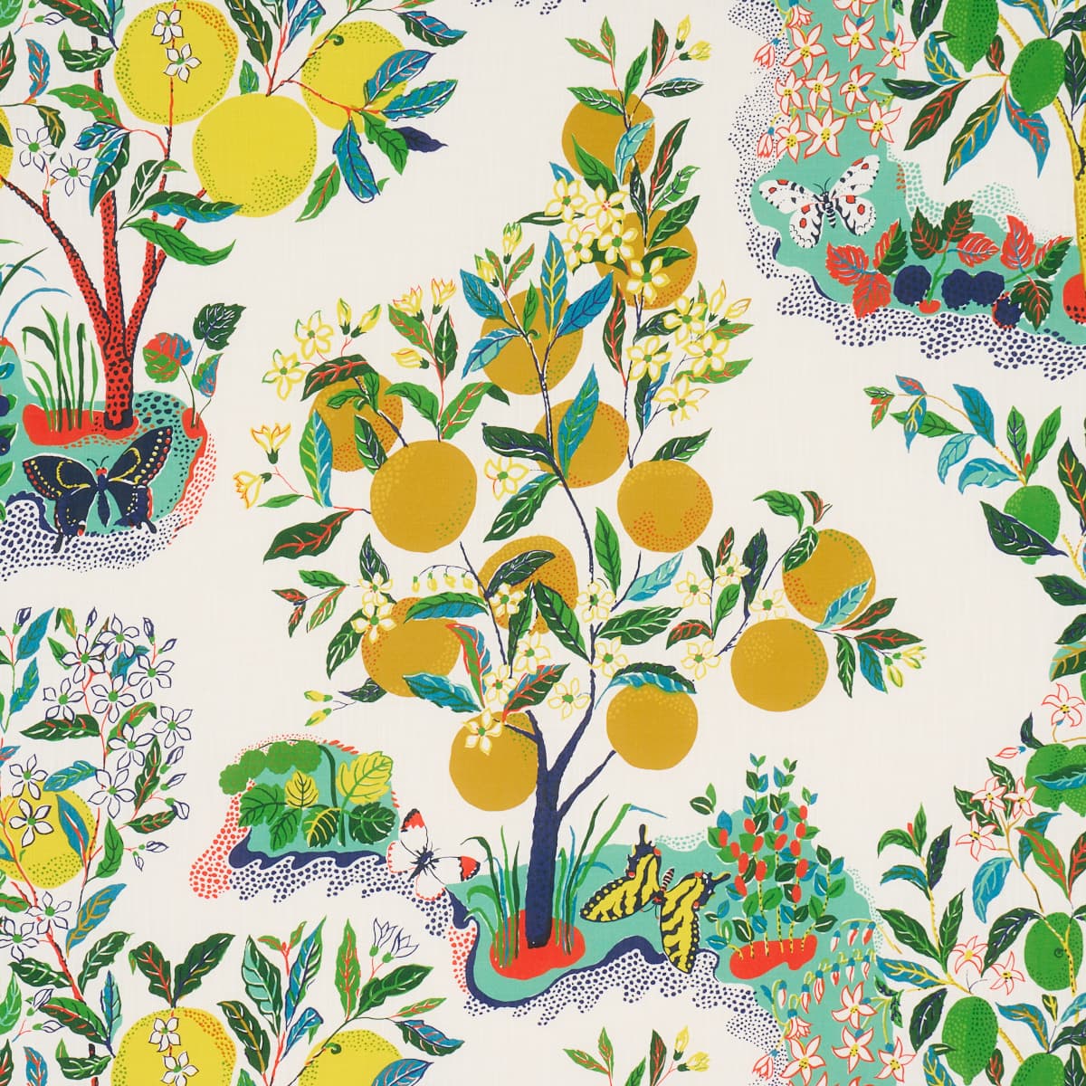 CITRUS GARDEN INDOOR/OUTDOOR - PRIMARY