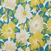 MAGNOLIAS - CITRON & PEACOCK