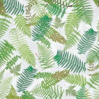 FERNARIUM - GREEN & IVORY