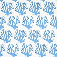 CORAL - BLUE