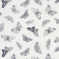 BURNELL BUTTERFLY - BLACK