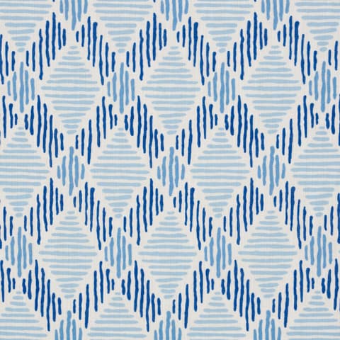 DEXTER INDOOR/OUTDOOR - BLUES