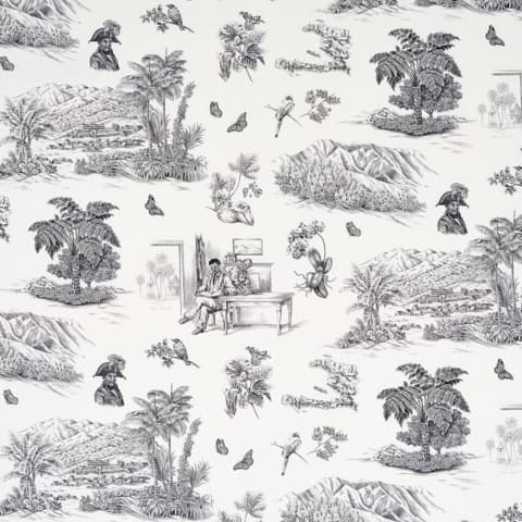 TOUSSAINT TOILE - BLACK