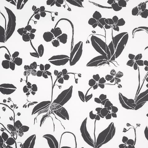 ORCHIDS HAVE DREAMS - SOFT BLACK