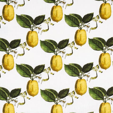LE CITRON - IVORY