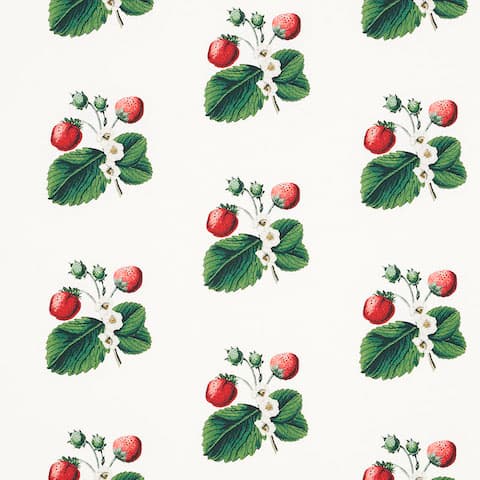 STRAWBERRY HILL - WHITE