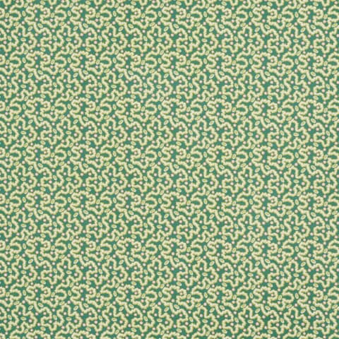 LEONIE VERMICELLI - LEAF