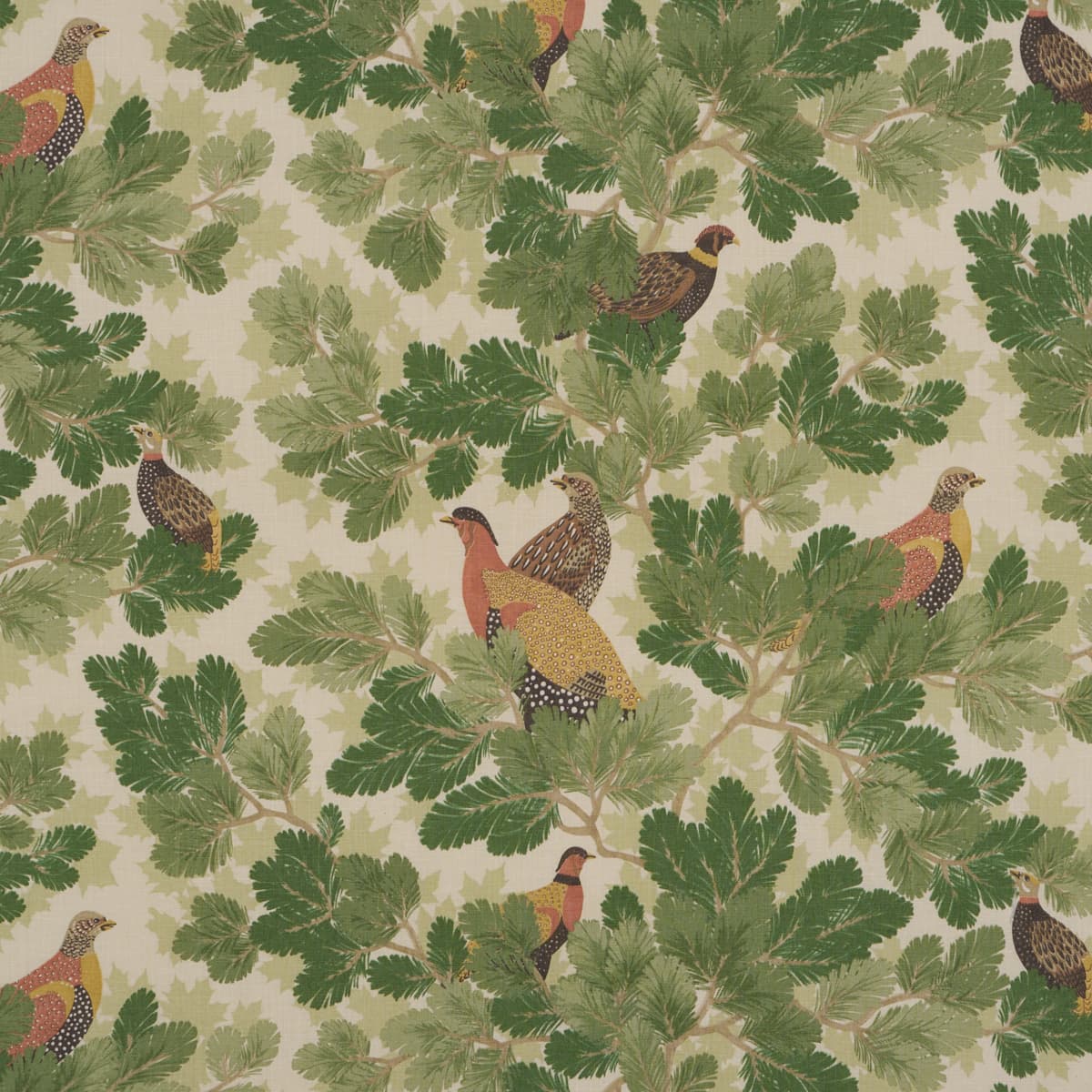 Covey Hedge - PINE
