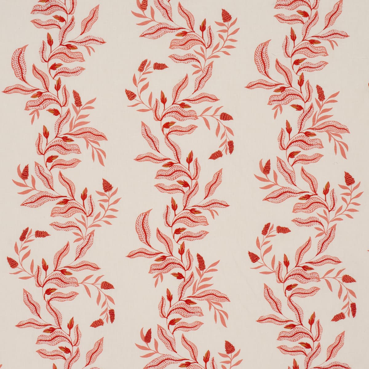 VAGARY VINES - CORAL