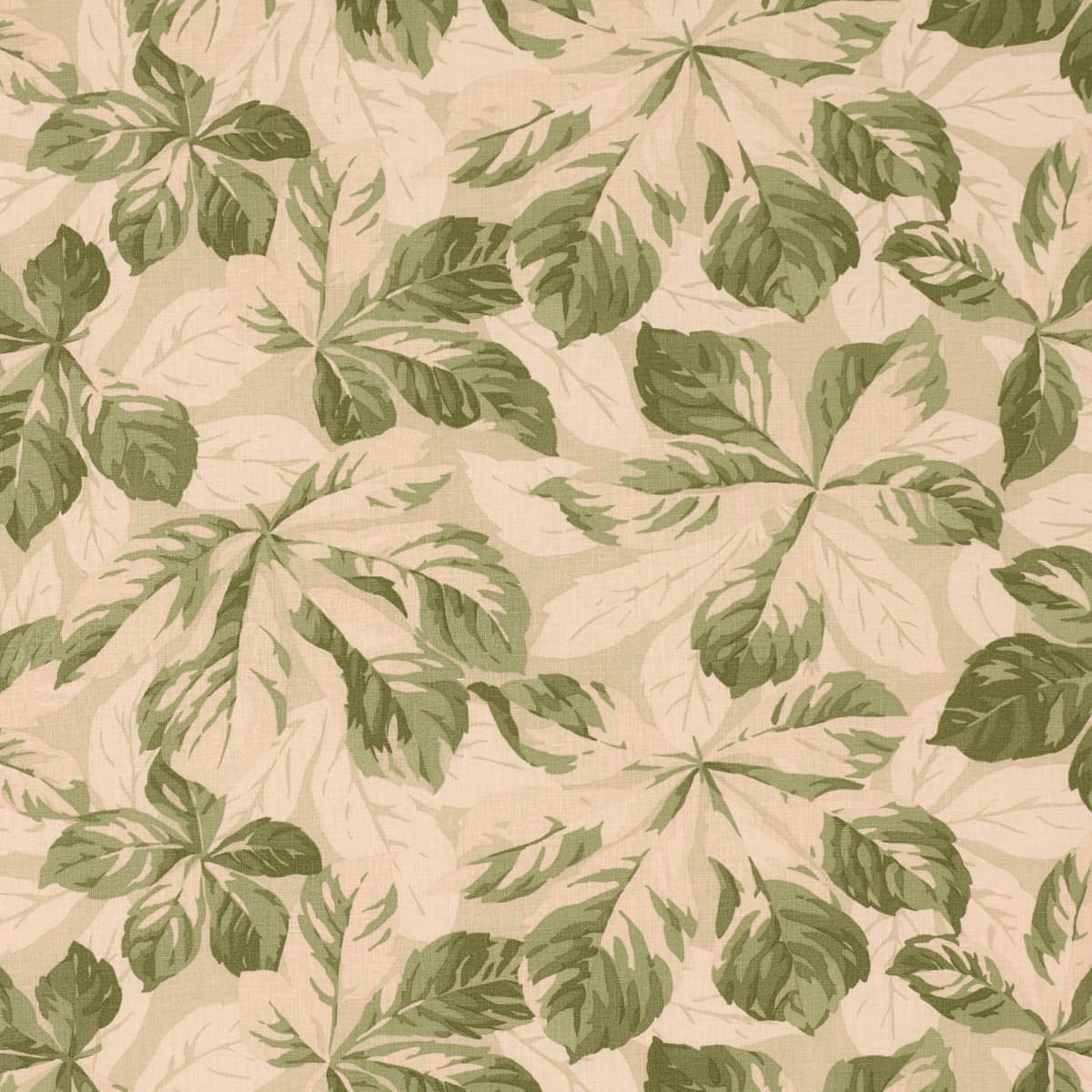 ARBOREAL - SAGE