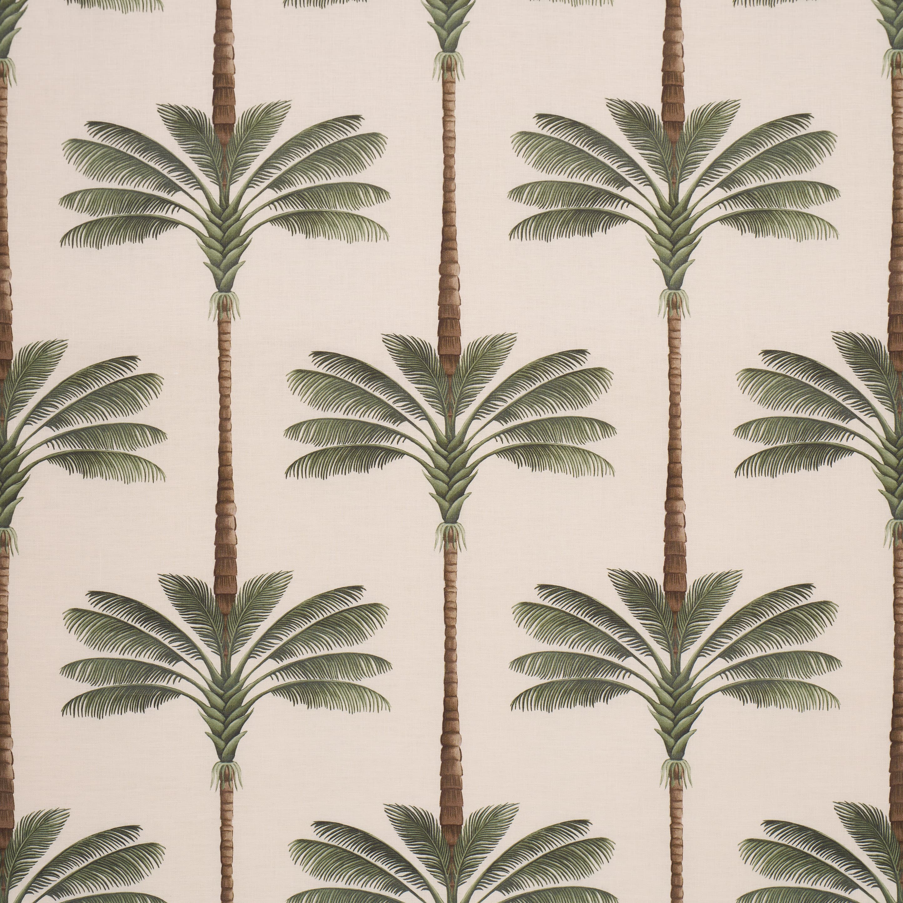 A PALM IS A PALM PRINT - DAYLIGHT EVERGREEN