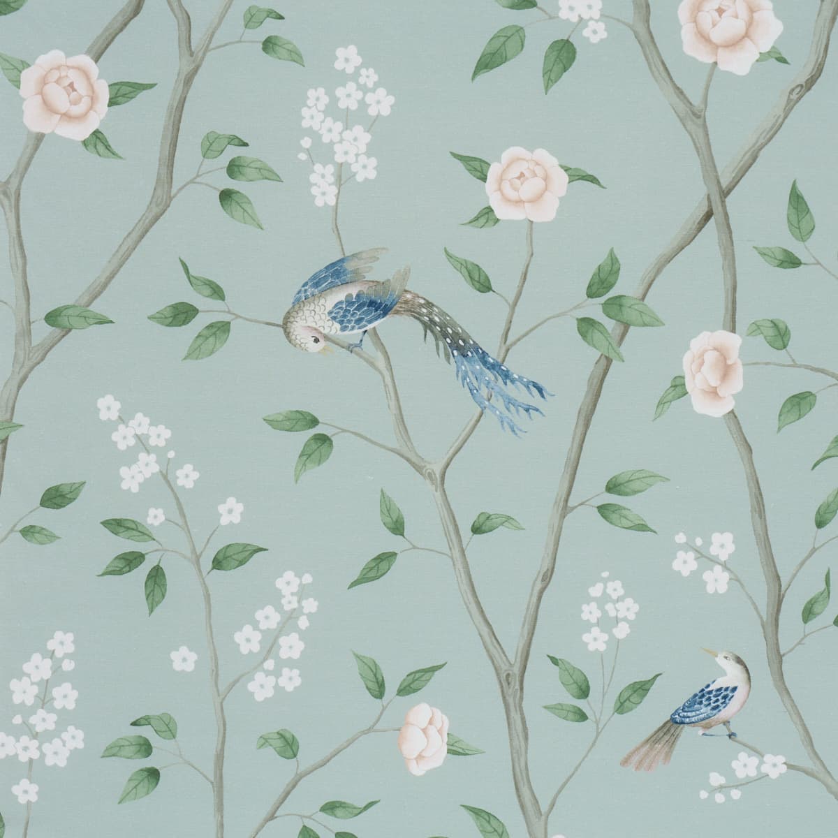 PARADISE BIRDS - MINERAL