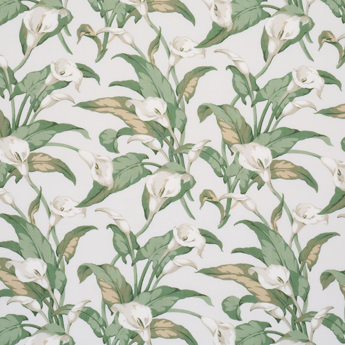 ARUM LILIES - IVORY